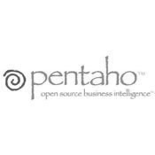 pentaho logo